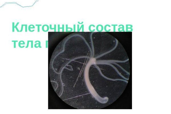 Кракен даркнет сайт ссылка