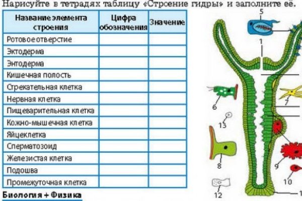 Kraken даркнет рынок