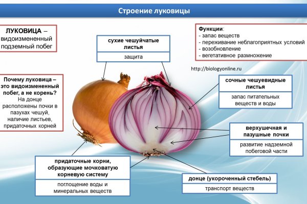 Кракен зеркало ссылка онлайн