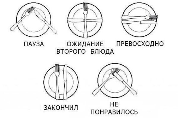 Ссылка на кракена для тора